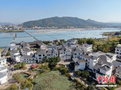 东西问丨朱元庆：中国乡村振兴如何融汇“绿色”和“金色”？